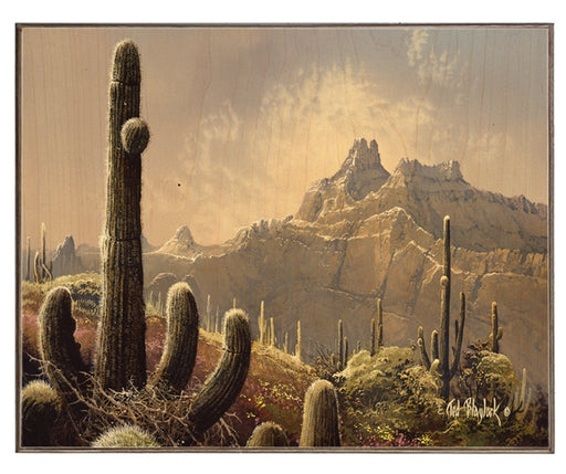 Desert View Art Rendering - Prints54.com