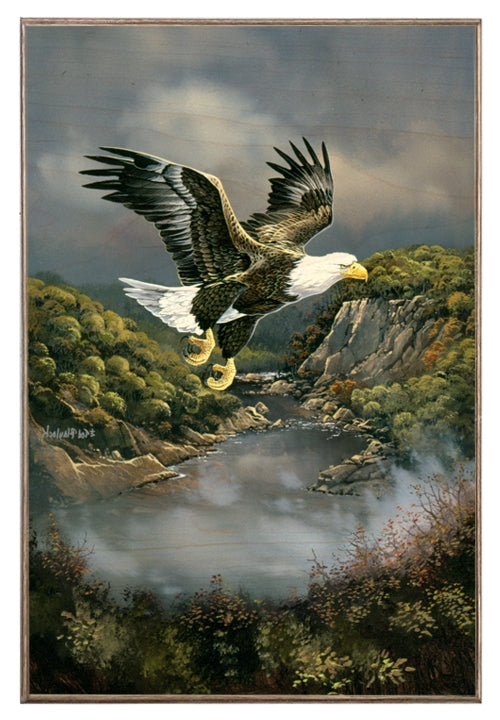 Franklin Eagle Art Rendering - Prints54.com