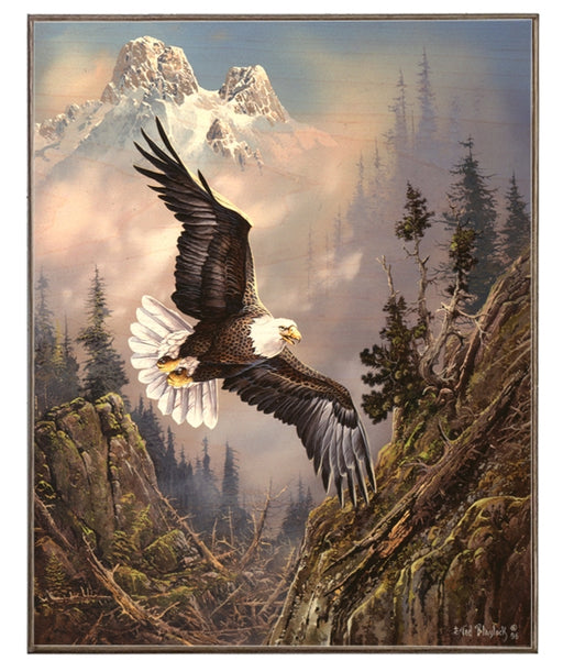 Franklin Eagle in the Mountains Art Rendering - Prints54.com