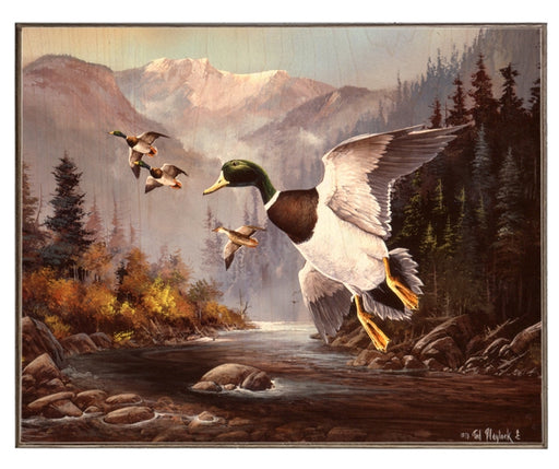 Hoback Landing-Mallards Art Rendering - Prints54.com